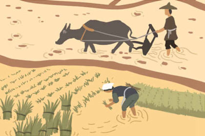 红宝石鱼怎么养 红宝石鱼风水作用 红宝石鱼怎么养 红宝石鱼风水作用