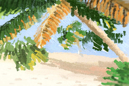 办公室前台摆什么植物好 办公室前台摆什么植物好