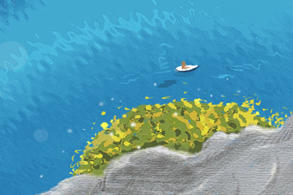 属猪的人办公室养什么花最旺财 属猪的人办公室养什么花最旺财