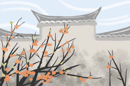 办公室的风水误区有哪些呢 办公室的风水误区有哪些呢