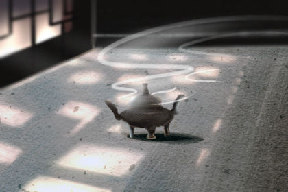 风水招财 风水招财