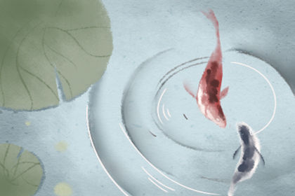 客厅挂画禁忌鹿 挂什么画好 客厅挂画禁忌鹿 挂什么画好