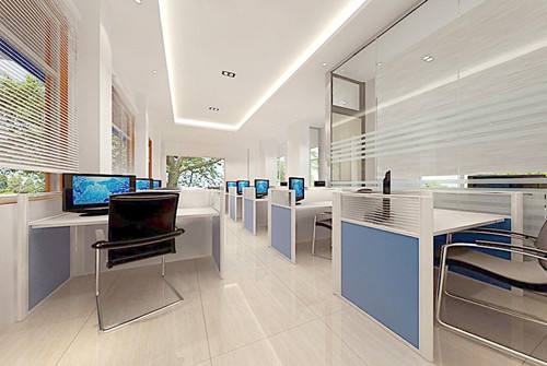 政府机关办公室放置哪些风水花好