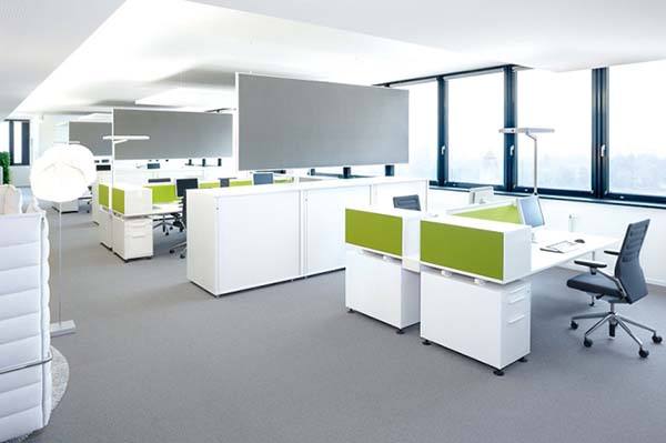 办公室内摆放几盆绿植为最佳风水