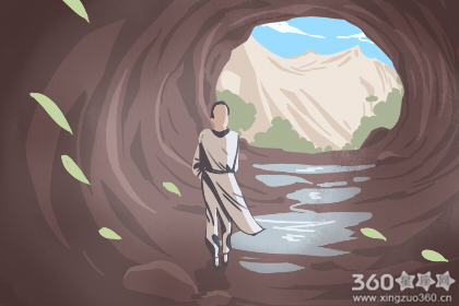 绿萝的风水寓意是什么 摆放有禁忌吗