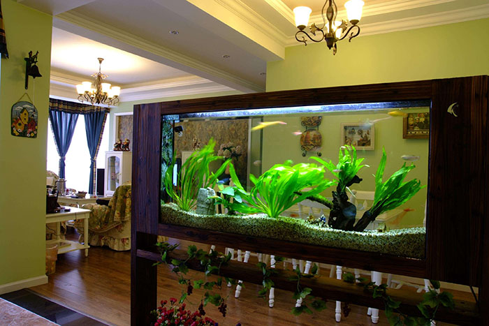 阳宅风水八大镇宅之宝，家里至少也要放一个