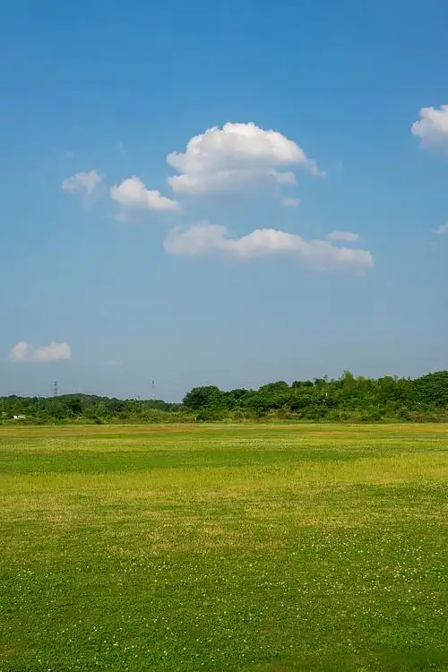 看祖坟风水的方法有哪些？