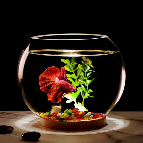 家居摆放有技巧：聚财秘籍揭秘，主财位放鱼缸！