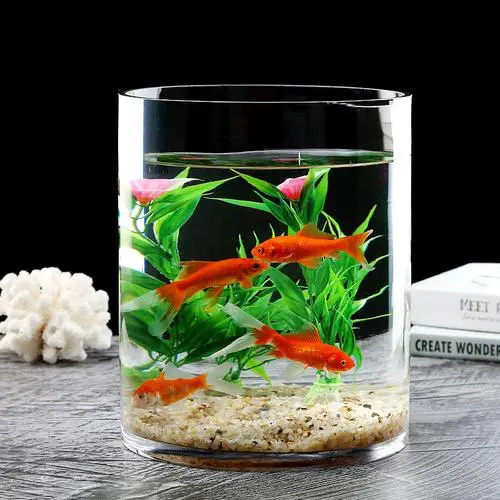 玄关好物推荐与设计风水要求，助力家庭财运提升