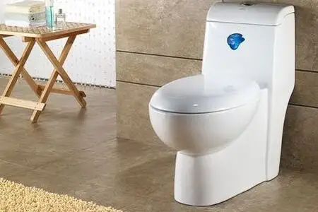 马桶千万不能朝向哪里？