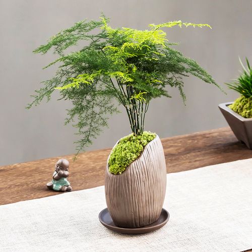 巧用风水摆件增桃花 远离八宅煞气