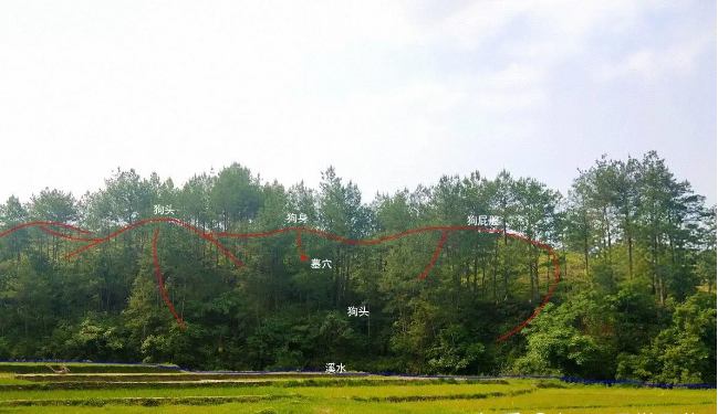 中国风水状元地眠犬形，明朝代国师廖文政墓地