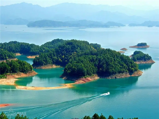 迁坟全流程无保留